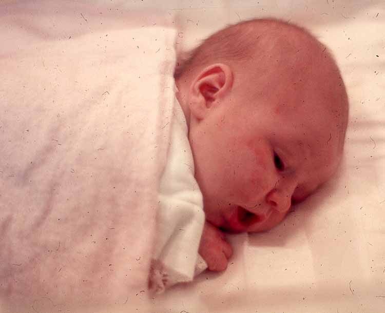 holly newborn